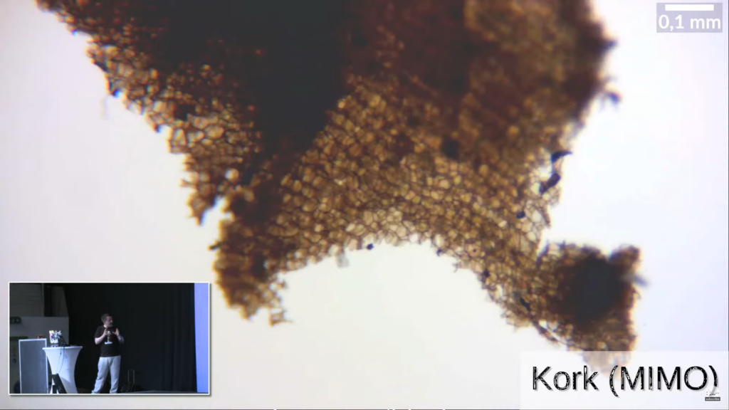 Screenshot Eines Vortrags von André Lampe, groß ein Mikroskopiebild von Kork zu sehen, 1,5 mm x 0,84 mm, links unten die EInbeldnung in Klein wie André Lampe auf der Bühne steht und erklärt was man sieht.